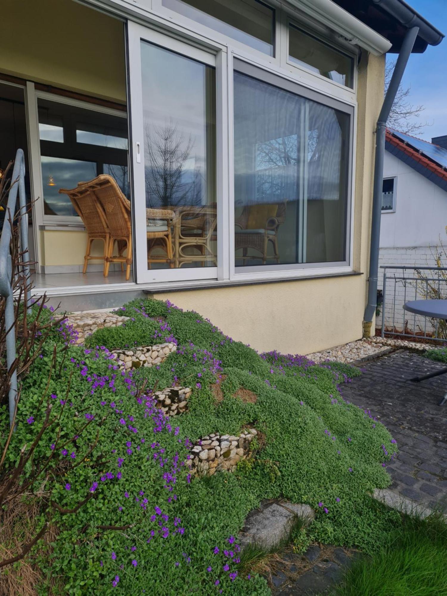 Ferienwohnung Im Rurtal Kreuzau المظهر الخارجي الصورة