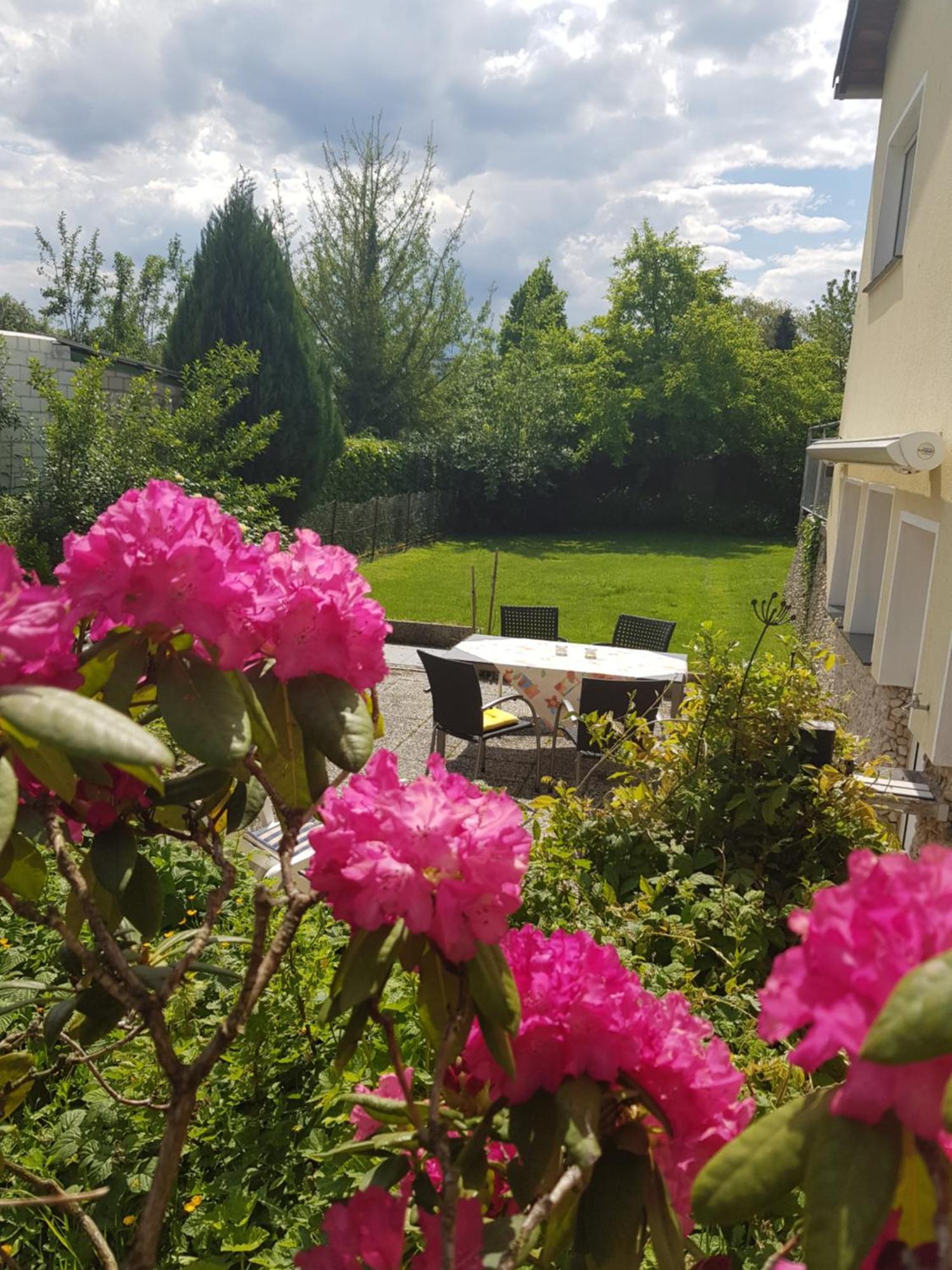Ferienwohnung Im Rurtal Kreuzau المظهر الخارجي الصورة